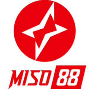 MISO88 BZ