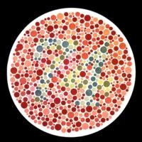 Color Blindness Test 