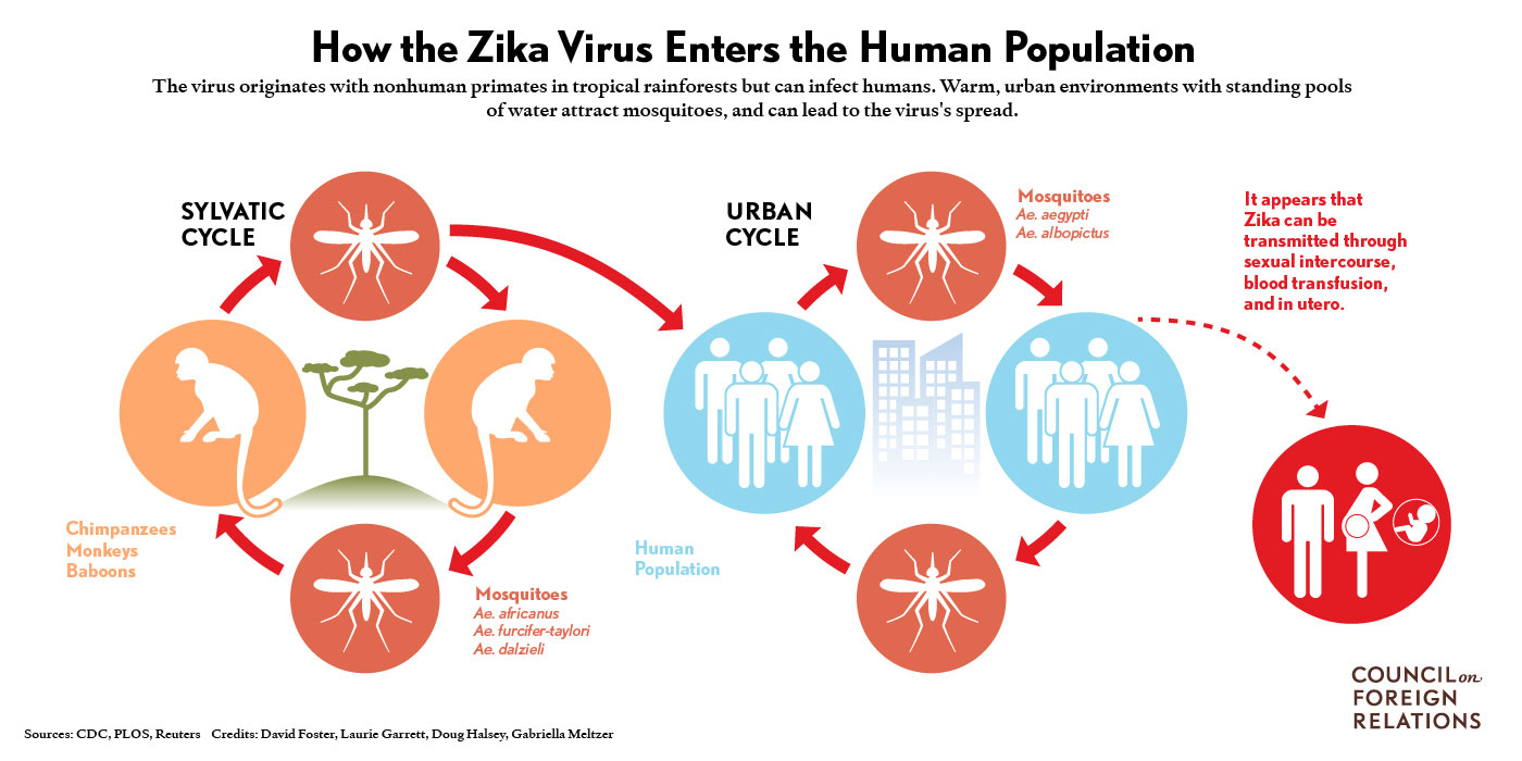 solution zika for virus The Solution as Flying Rapid Mosquitoes Syringes: to Zika