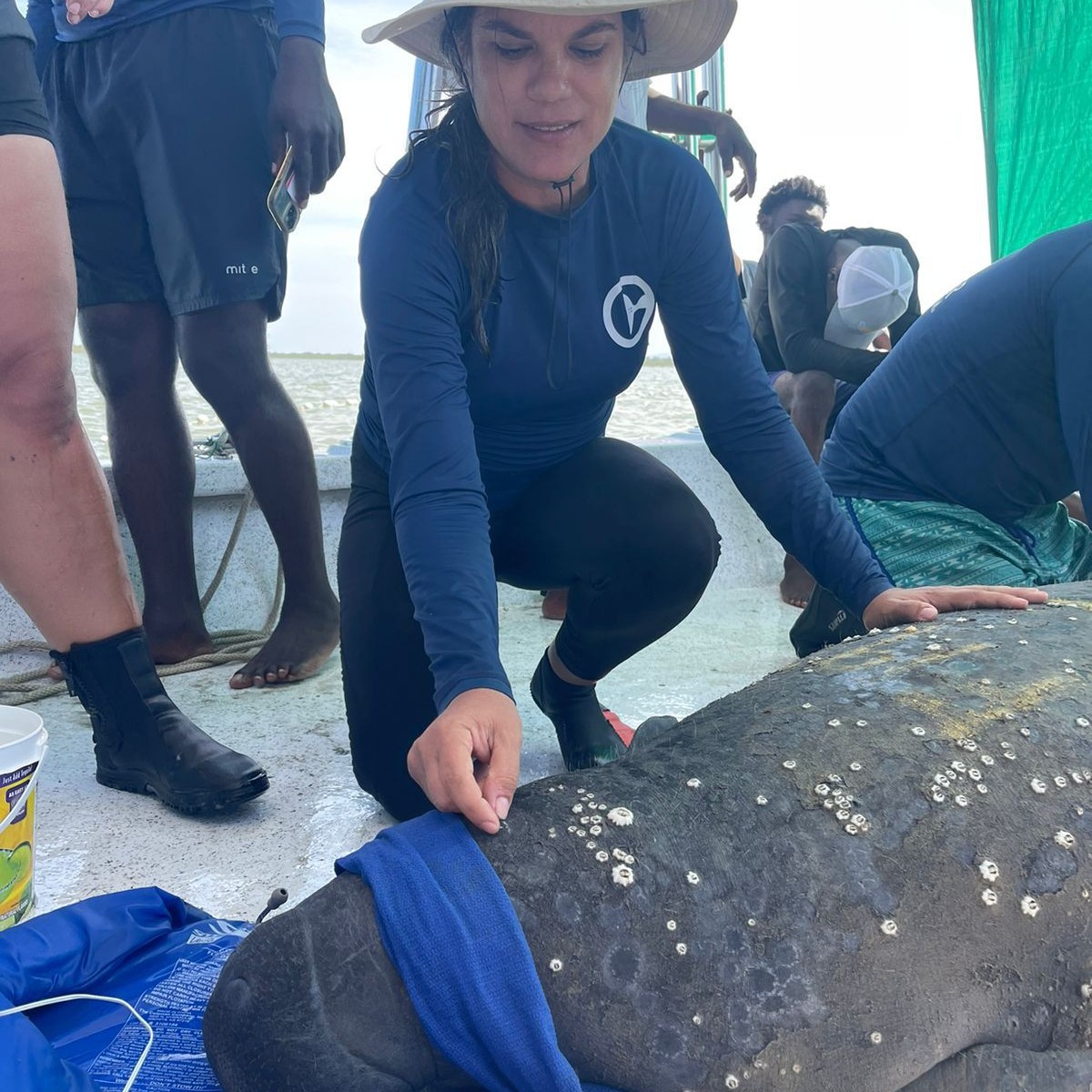 Anmari Alvarez Aleman