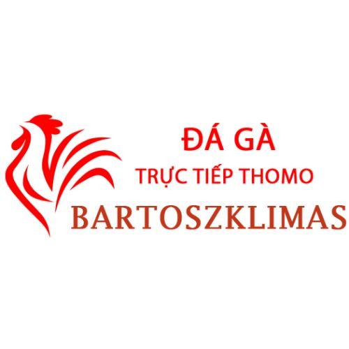 Đá Gà Trực Tiếp Thomo