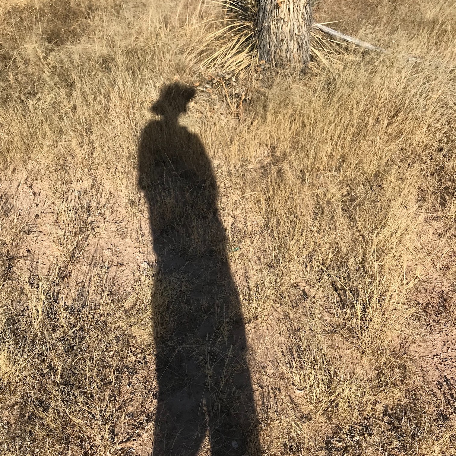 Jessiah Hahs Brinkley