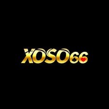 xo66lcc
