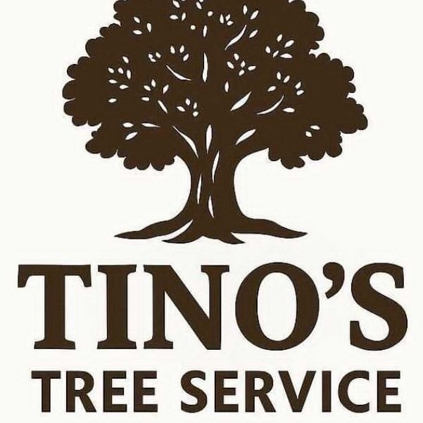 Tino's Tree Service VA