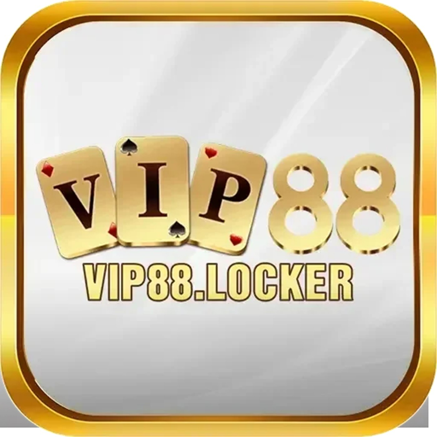 VIP88 locker