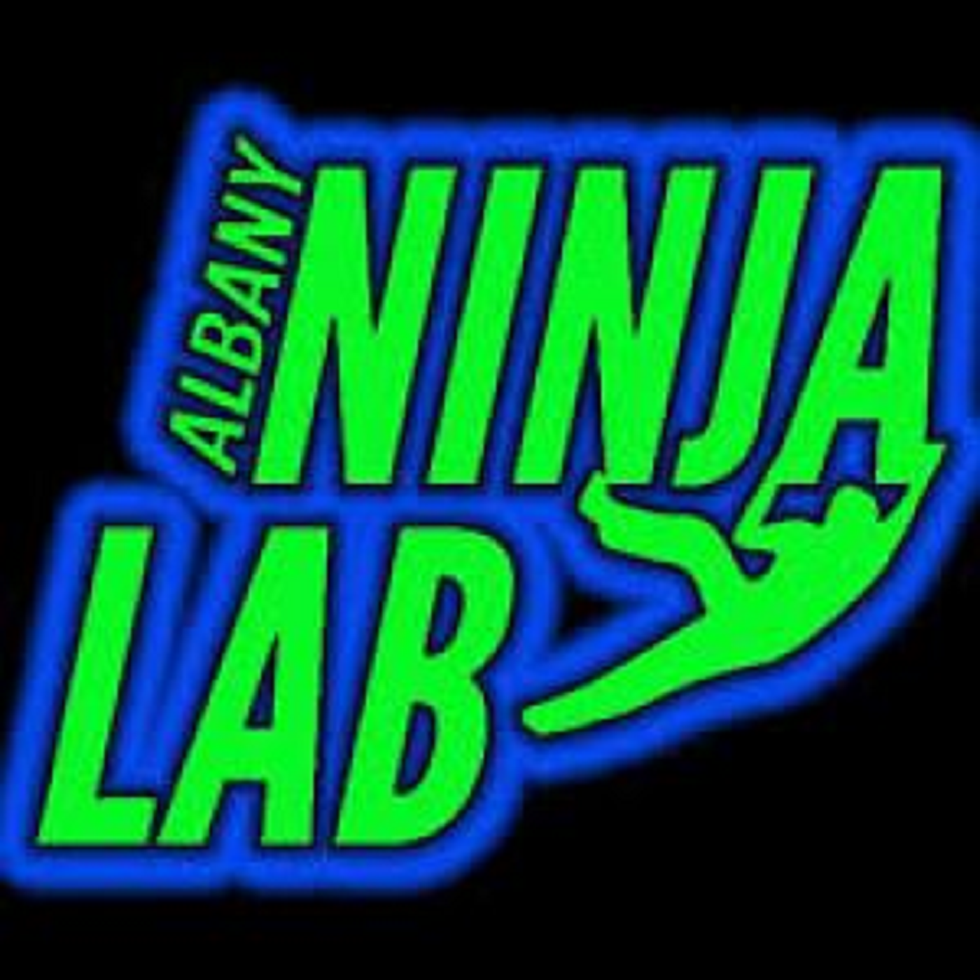 Albany Ninja Lab
