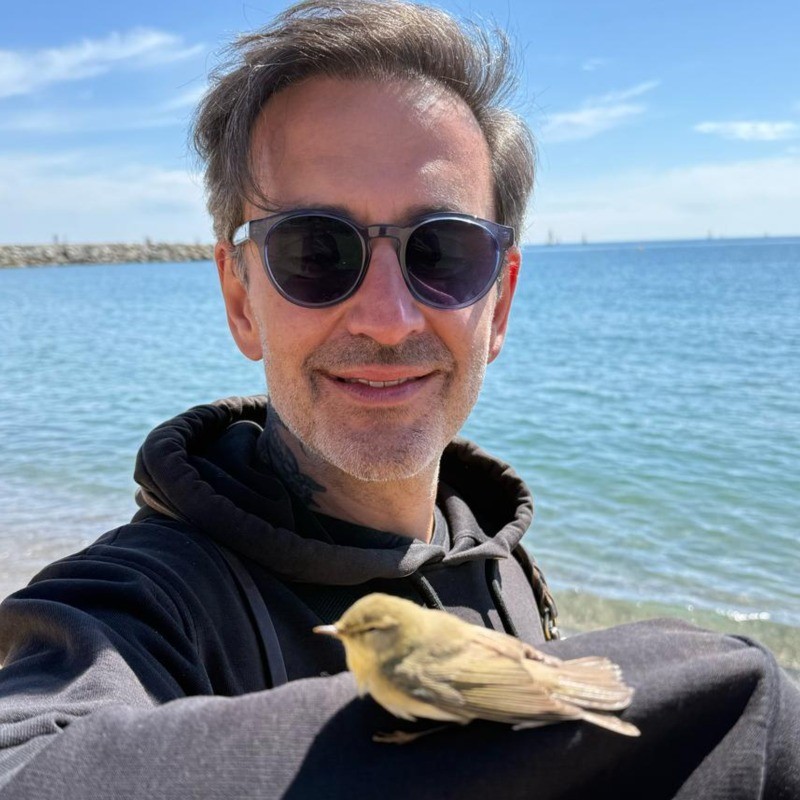 ibqplsdfbgorkkuukxtv