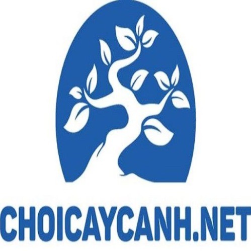 Chơi Cây Cảnh