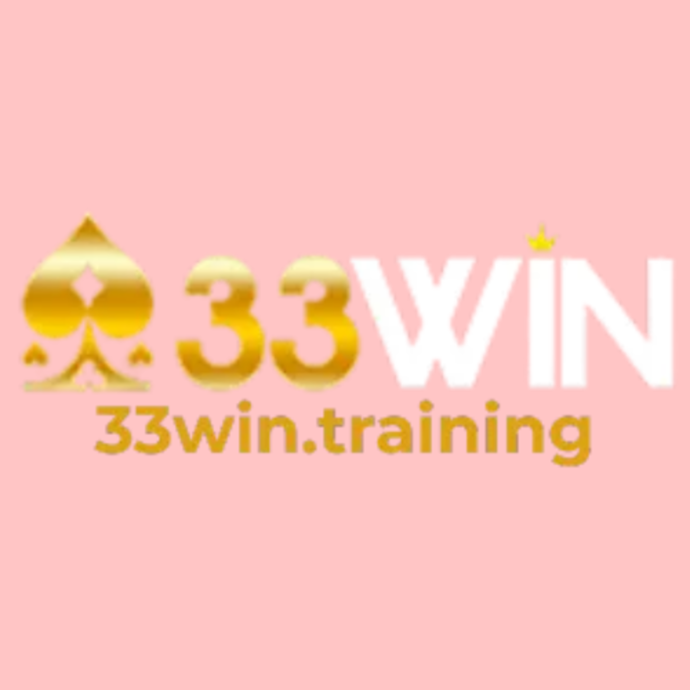 33WIN Training
