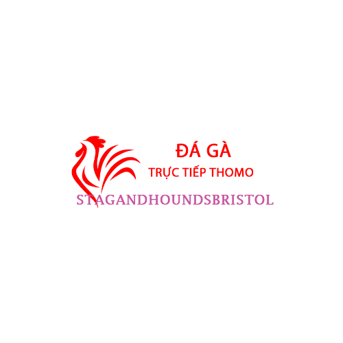Đá Gà Trực Tiếp Thomo