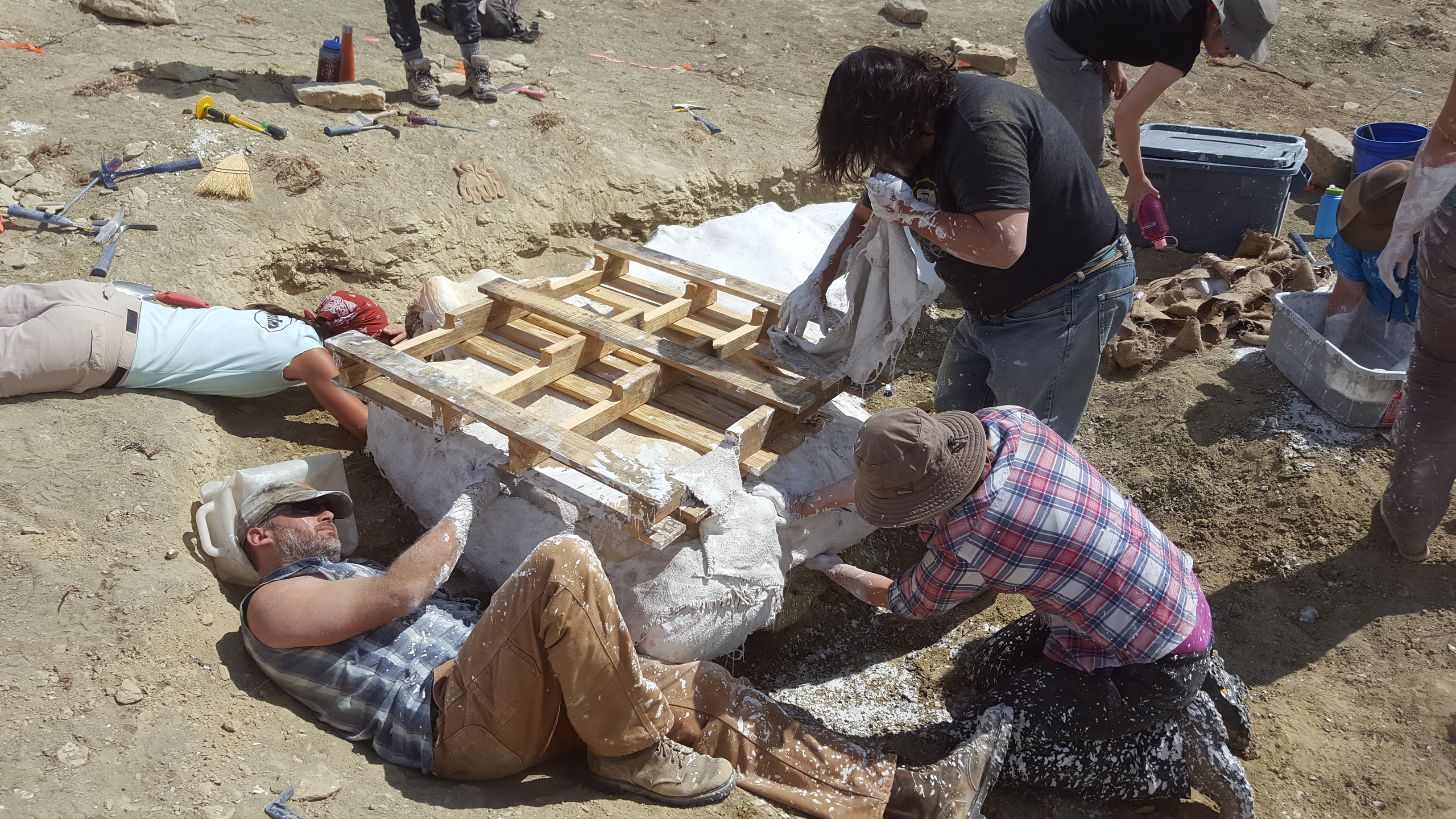 The Simplicity of Field Paleontology Experiment
