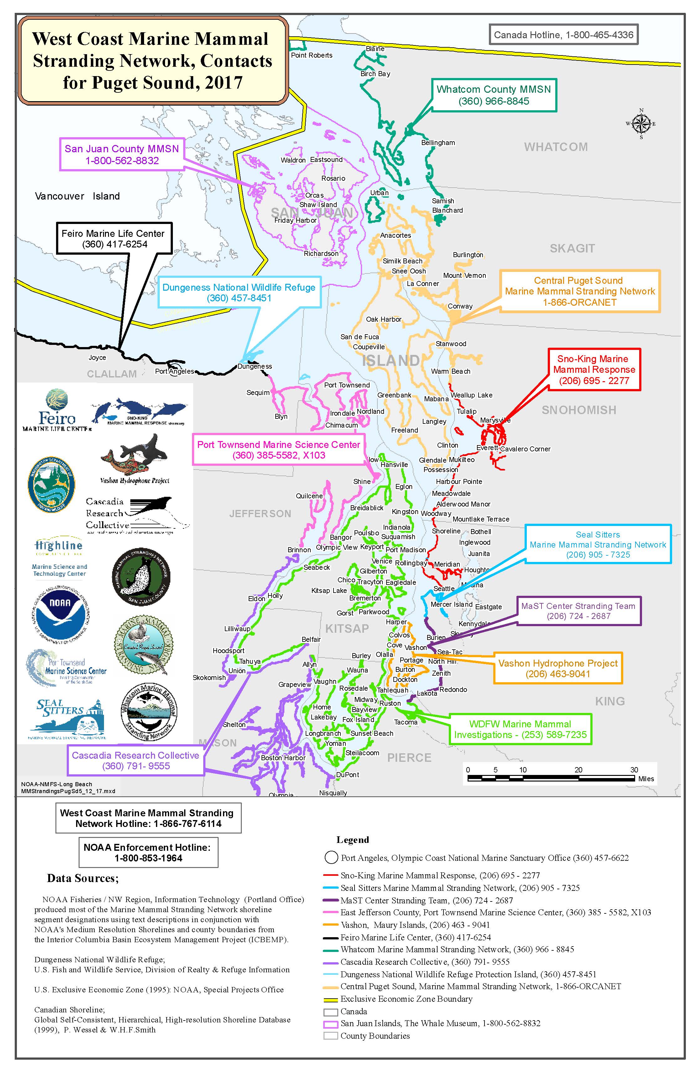 Marine Mammal Stranding Network